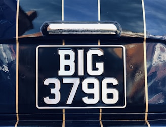 A close-up view of a vehicle's license plate displaying the text 'BIG 3796' against a dark, reflective surface with vertical gold stripes. The surrounding surface appears glossy and metallic.